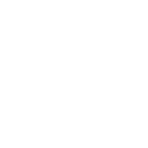 Icono 1